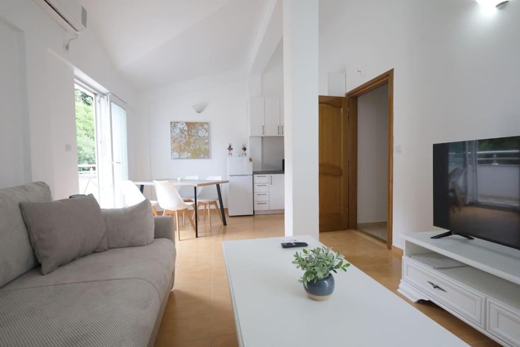Status-m Seoce 26 * Budva